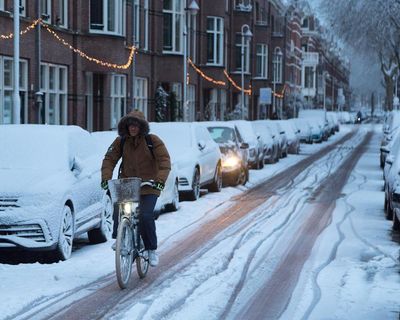 ‘Damage is piling up’: has the Netherlands forgotten how to cope with snow?