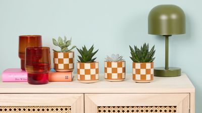 These Are the 6 Major Houseplant Trends for 2026 That You'll Soon Notice Making a Splash in the Most Stylish Biophilic Homes Around