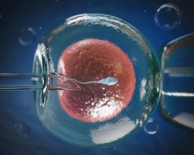 Could egg defect breakthrough help stop the ‘horrible IVF rollercoaster’?