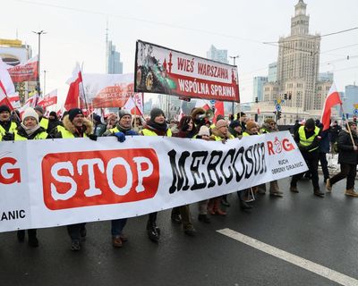 EU states back controversial Mercosur deal with Latin American countries