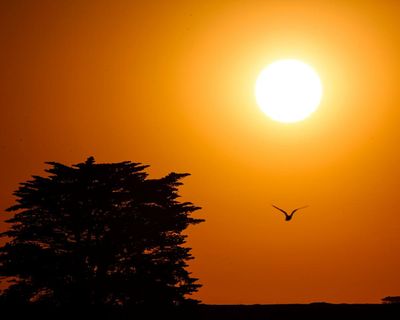 New bushfire warnings issued in Victoria and NSW as Townsville braces for cyclone – as it happened