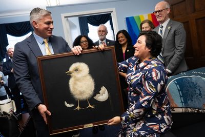 Are you a freshman from Washington state? Congratulations on your new painting