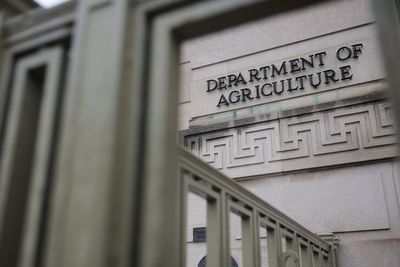 USDA suspends ‘federal financial awards’ for Minnesota, citing ‘massive fraud’