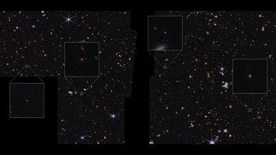 Strange cosmic objects spotted by the James Webb Space Telescope may be baby 'platypus' galaxies — or something entirely new