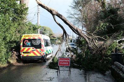 Man killed by tree falling on caravan as weather warnings remain after Storm Goretti