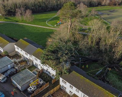 Man dies after tree felled by Storm Goretti hits caravan in Cornwall