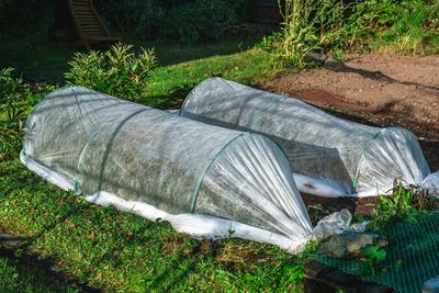 7 Cheap Covers That Protect Plants Better Than Frost Cloth