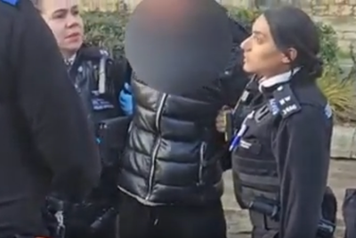 Woman feeding pigeons arrested and handcuffed by police as onlookers slam ‘ridiculous’ response