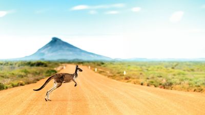 'We took the leap and moved to a completely new place – and it transformed our lives'