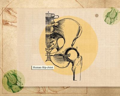 Do the tiny, boring exercises: how to really look after your hips