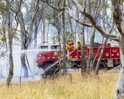 Human remains found in bushfire area – as it happened