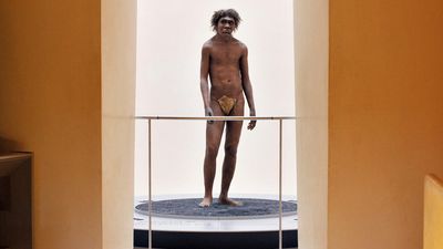 Fossils discovered in Morocco shed light on our African roots