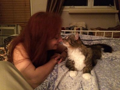 She spent 366 days searching for her cats after losing them in the LA fires: ‘I promised my babies’