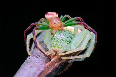 You have less than 2 weeks to enter the £10,000 LCE Photographer of the Year