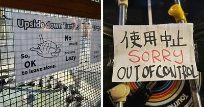 101 Hilarious Cases Showing Japan Getting Completely Lost While Translating To English