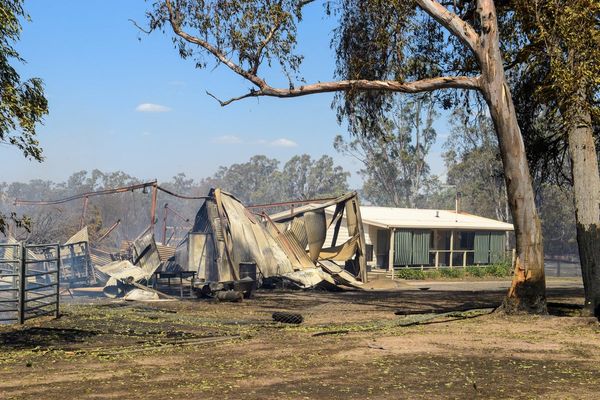 Bushfires burn 350,000 hectares and leave one person dead as Australia says crisis far from over