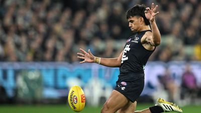 Pre-season ACL injuries sideline AFL pair