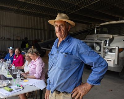 A new fight for Victorian farmers – saving livestock that survived devastating bushfires