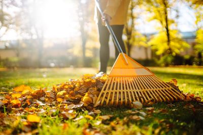 9 Things to Do With Fallen Leaves That Aren’t “Rake and Bag”