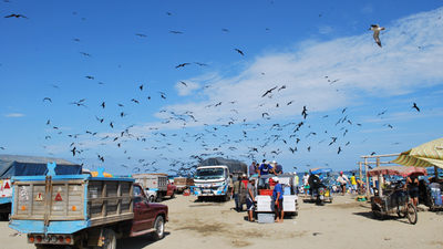 Five Severed Heads Hung on Ecuador Beach With Threatening Message as Murder Rate Soars 47%
