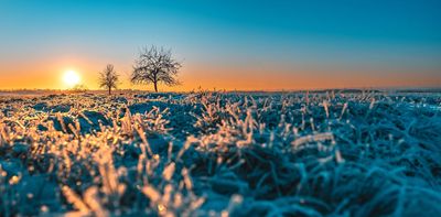 Winter’s natural wonders: seven tips to entice you outside and dose yourself up with joy