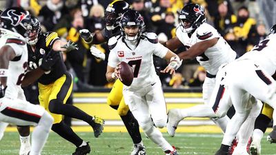 Texans 30, Steelers 6: Houston Trounces Pittsburgh to Advance to Divisional Round