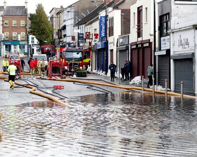 Government’s wildlife targets will be missed in England, watchdog says