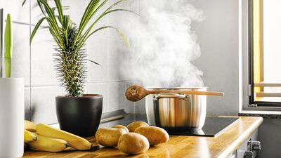 'The sound usually occurs because magnetic energy heats the pan and can cause it to vibrate slightly' — here's why your induction makes a buzzing noise, and how to know if it's a problem