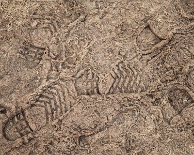 Country diary: Hooray for the hard, frozen ground – life on Earth depends on it