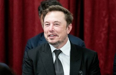 Elon Musk seeks custody after Ashley St Clair apologises for past transphobia