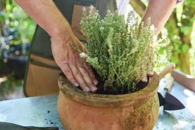 10 Ways to Keep Outdoor Pots From Cracking in a Hard Freeze