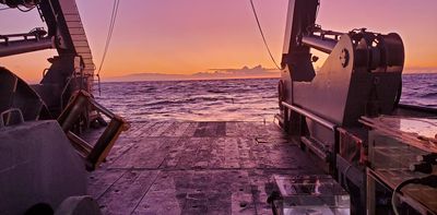 Viruses aren’t all bad: In the ocean, some help fuel the food web – a new study shows how