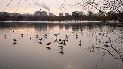 Flights diverted and trains delayed as freezing rain and ice hit central and eastern Europe