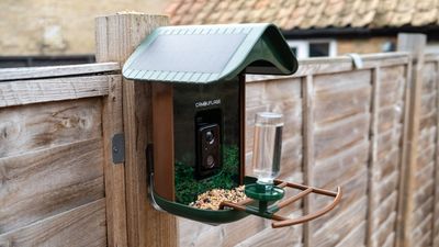 Camouflage EZ BirdFeed review: a superb value, smart bird feeder camera that identifies your feathered friends