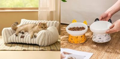 Pet Upgrades That Turn Your Home Into a Bougie Animal Kingdom