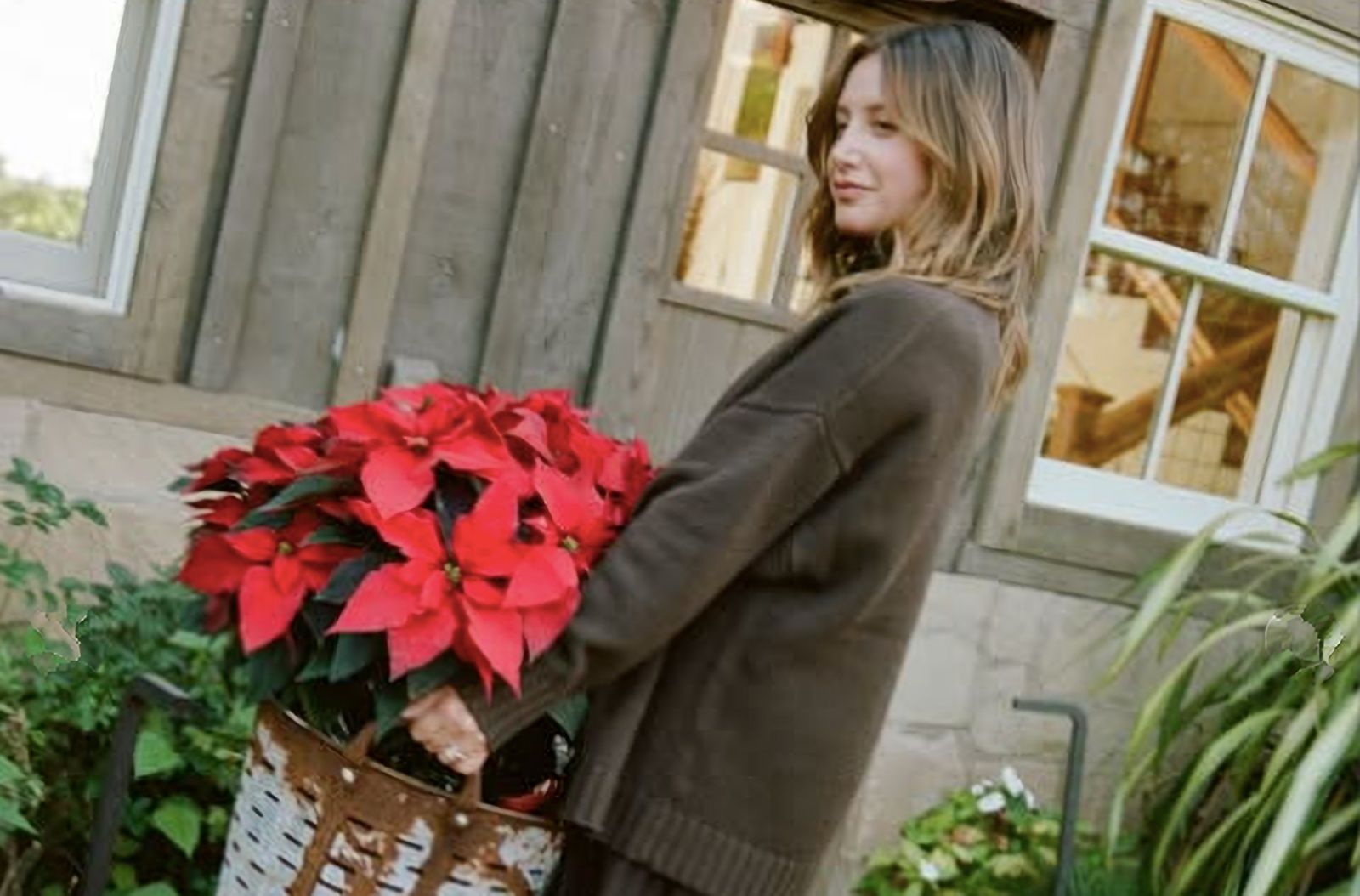 Ashley Tisdale Toxic Mum Group Essay: What to Know…