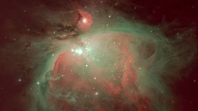 This stunning Orion Nebula photo will make you want to grab a telescope this week