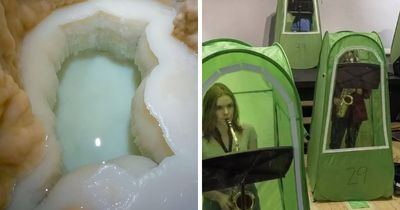 94 Random Facts That Nobody Really Asked For, But They Are Still Fun To Know