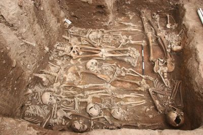 Medieval mass grave unearthed in Germany may contain remains of Black Death victims