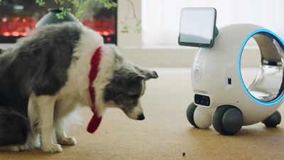 Scientists Develop Robotic Pet Butler that can feed and play with Animals when owners are not home
