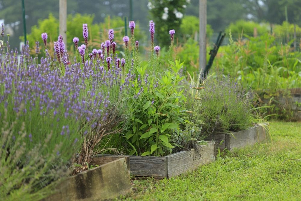 9 Reasons Your Raised Beds Drain Worse in Winter and the Fix