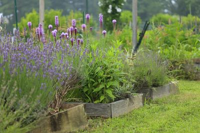 9 Reasons Your Raised Beds Drain Worse in Winter and the Fix