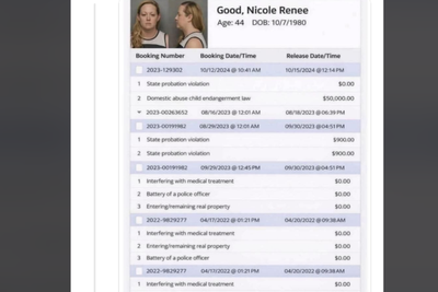 Renee Nicole Good's name Smeared by AI Fake Sheet: MAGA using AI nefariously is gonna be a huge problem in the coming years