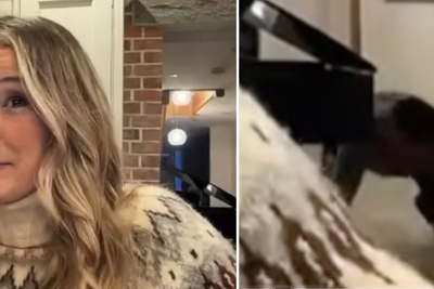 Presenter interrupted by husband crawling behind her live on air