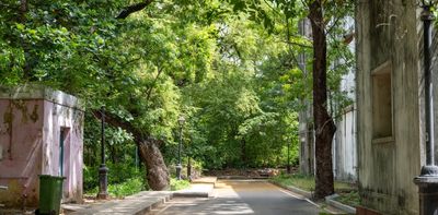India shows how urban forests can help cool cities – as long as planners understand what nature and people need
