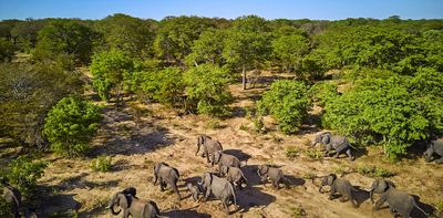 Human-wildlife conflict in Zimbabwe is a crisis: who is in danger, where and why?