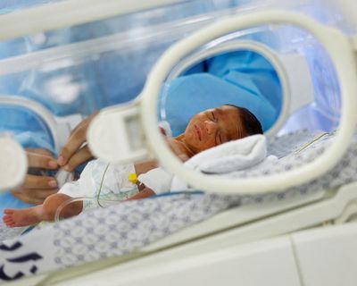 Gaza war leads to 41% fall in births prompting allegations of reproductive violence