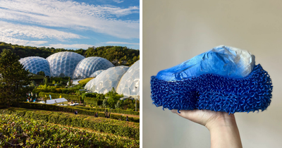 15 Biomimicry Examples That Prove Nature Solves It Best