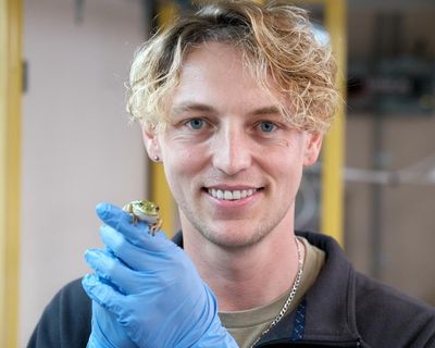 He invented mini saunas for frogs – now this biologist has big plans to save hundreds of species