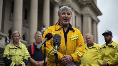 Bushfires spark inquiry call as funding debate rages